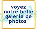 Tours et Excursions à Samana avec vos amis Raymond et Gregory.