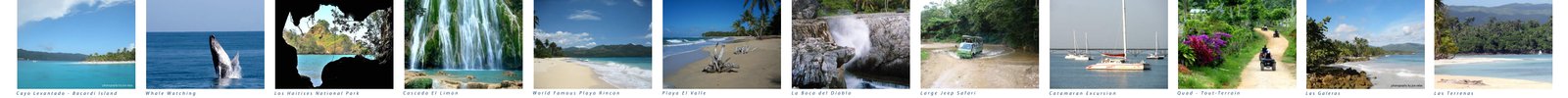 photo gallery 